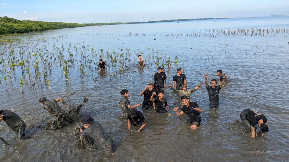 Peradah Sulsel Tanam 700 Pohon Mangrove di Untia Jelang Lokasabha