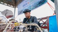BRI Menanam Grow and Green Bantu Jaga Ekosistem Laut dan Kembangkan Potensi Wisata Daerah