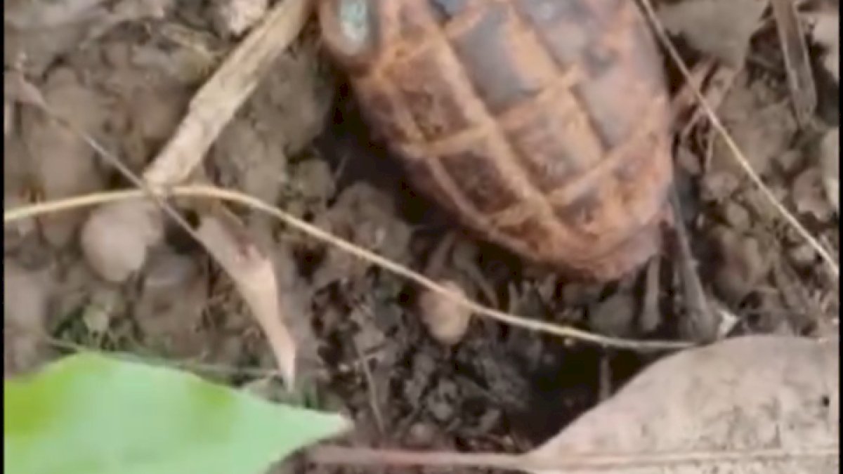 VIDEO: Warga Dusun Takkalu Digegerkan oleh Penemuan Granat Aktif