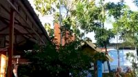 VIDEO: Aksi Heroik Guru di Gowa, Panjat Tiang Bendera saat Upacara Hardiknas Akibat Tali Terputus