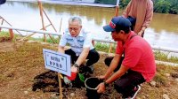 Pimpinan DPRD Luwu Timur Dukung Program Penanaman Pohon Sukun di Bantaran Sungai Malili