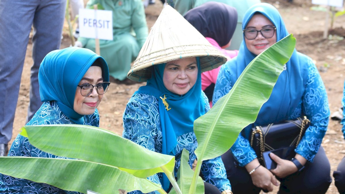 TP PKK Gowa Manfaatkan Lahan Pekarangan Rumah Tanam Ribuan Bibit