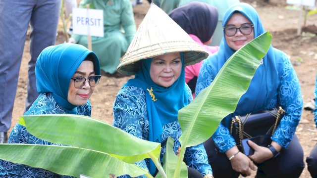 TP PKK Kabupaten Gowa tanam 30 ribu bibit tanaman di pekarangan. Foto: Istimewa.