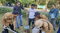 DLH Makassar Tanam Pohon di Hari Lingkungan Hidup