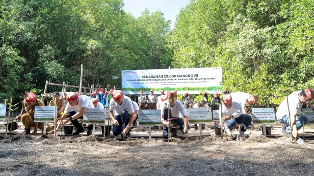 Yayasan AHM tanam puluhan ribu mangrove. Foto: Istimewa.