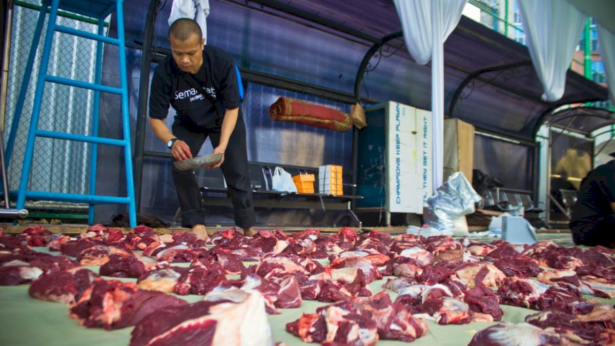 Peternak Kambing Ini Banjir Pembeli Dari Berbagai Daerah, Sukses Kembangkan Usaha Berkat Pemberdayaan BRI