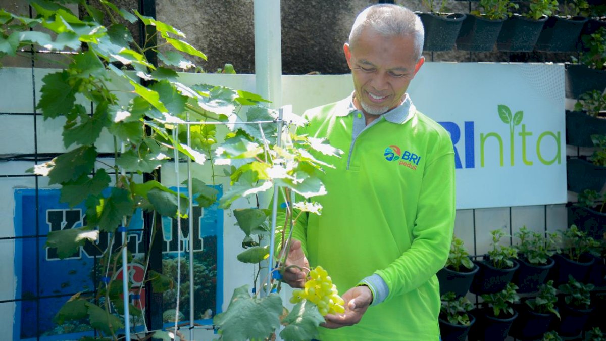 Didukung BRINita, Kelompok Tani Ini Sulap Lahan Terbengkalai Jadi Produktif
