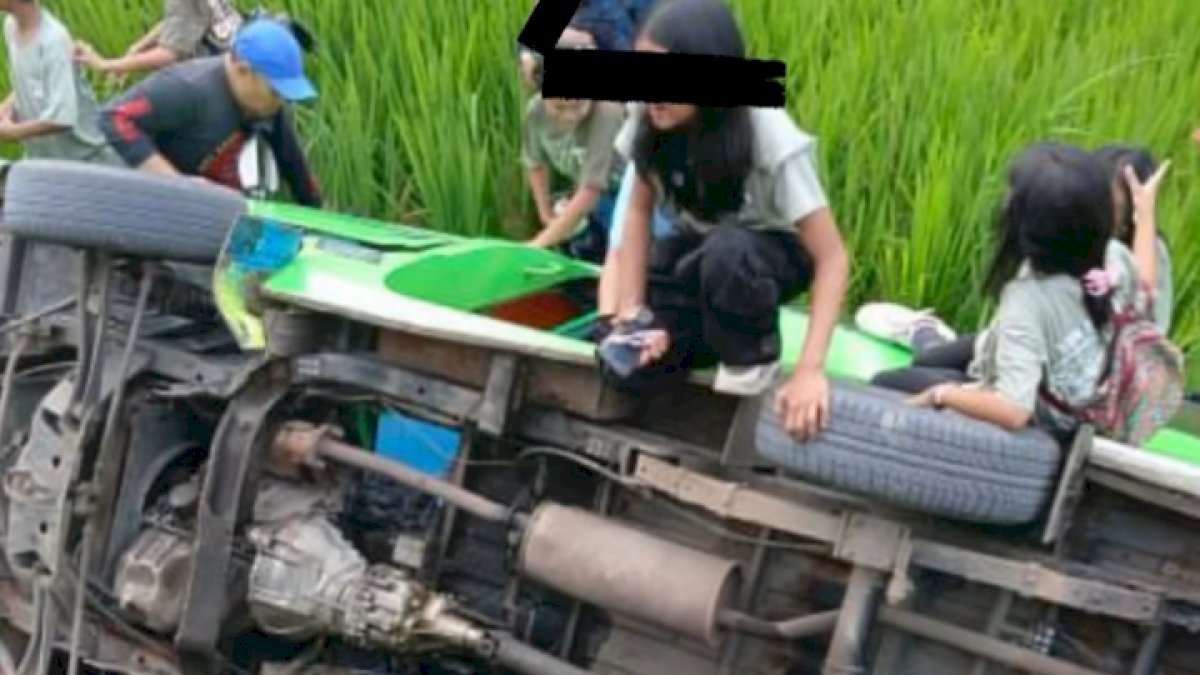 VIDEO: Mobil Angkut Rombongan Murid SD di Toraja Utara Terjun ke Sawah