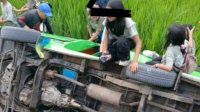 VIDEO: Mobil Angkut Rombongan Murid SD di Toraja Utara Terjun ke Sawah