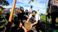 Pemkab Gowa Peringati Hari Lingkungan Hidup Sedunia dengan Tanam 1.000 Pohon di Lahan Kritis