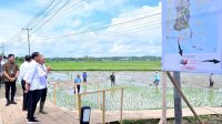 Presiden Jokowi dan Iriana Tinjau Pelaksanaan Bantuan Pompa Irigasi di Sulawesi Selatan