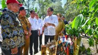Presiden dan Mentan Amran di Lampung Barat, Pacu Produksi Kopi dan Peningkatan Kesejahteraan Petani