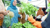 Berdayakan Potensi Lokal, Ketua PKK Barru Gencar Gelar Gerakan Pangan Murah