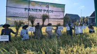 Dukung Program Pangan Nasional, Danramil Bangkala Jeneponto Hadiri Panen Raya Padi