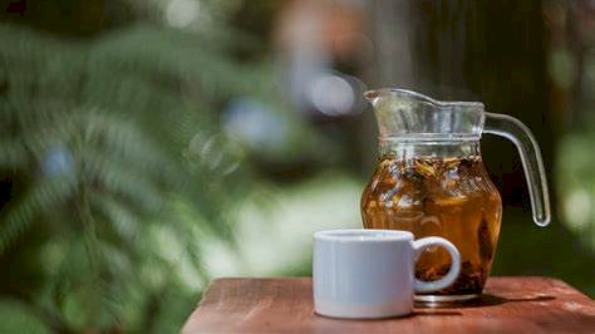 Rahasia Minum Teh Agar Bisa Cegah Penuaan Dini dan Cocok Buat Diet, Ini Penjelasannya