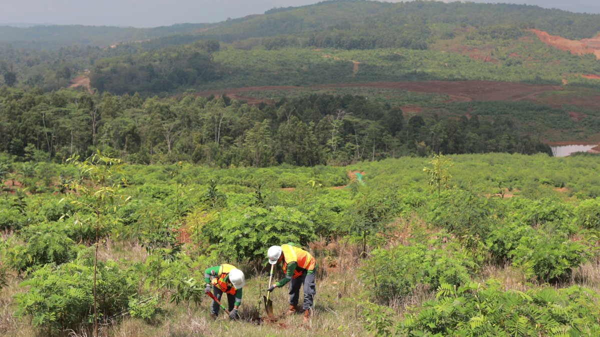 PT Vale Jawab Aksi Damai WALHI: Mari Saling Kolaborasi Bersama Melestarikan Hutan