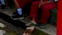 VIDEO: Keterbatasan Ekonomi, Siswa SD di Mamuju Tengah Pakai Sandal Jepit ke Sekolah