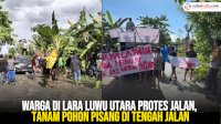 VIDEO: Warga di Lara Luwu Utara Protes Jalan Rusak, Tanam Pohon Pisang di Tengah Jalan