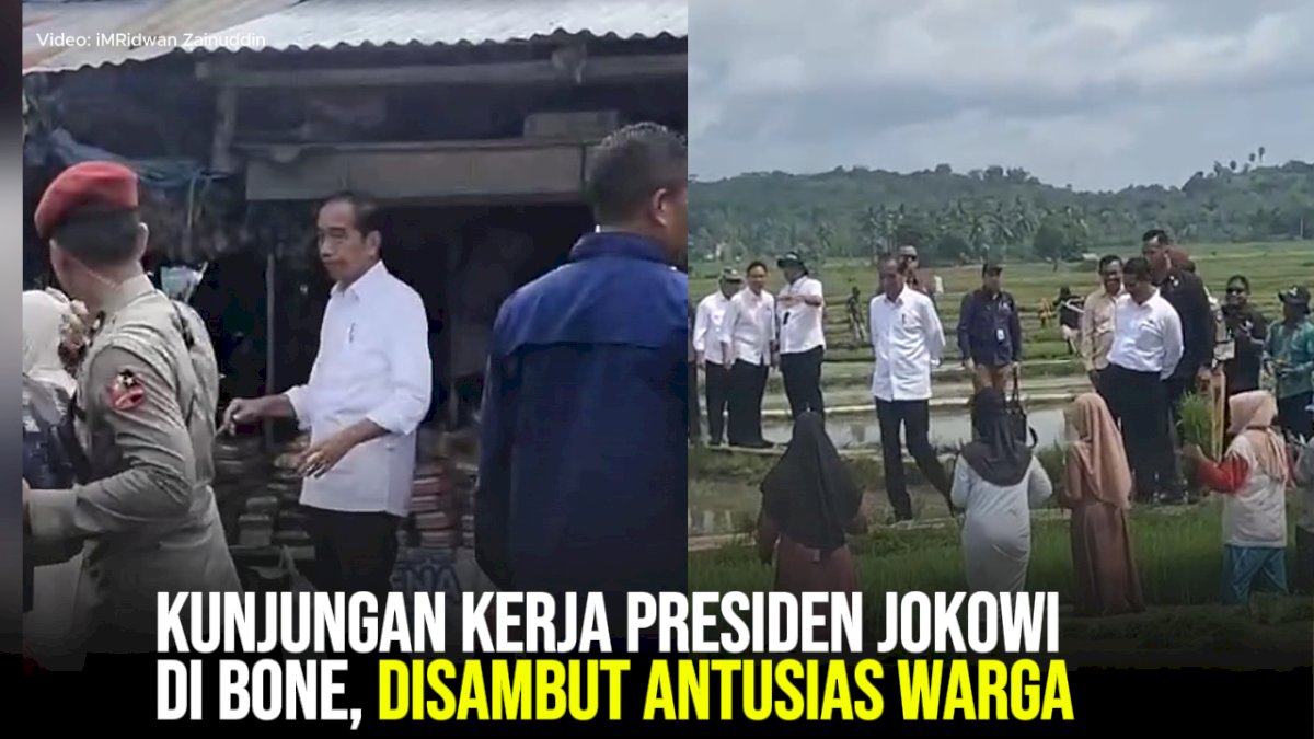 VIDEO: Kunjungan Kerja Presiden Jokowi di Bone, Disambut Antusias Warga
