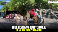 VIDEO: Truk Pembawa Ikan Terbalik di Jalan Poros Mamuju