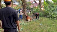 Anggota DPRD Luwu Timur Berharap Momen Hari Raya Idul Adha Menjadi Ajang Pererat Tali Silaturahim