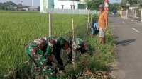 Peduli Terhadap Petani, Babinsa Koramil Binamu Kembali Gelar Karya Bakti Bersihkan Saluran Irigasi Pertanian