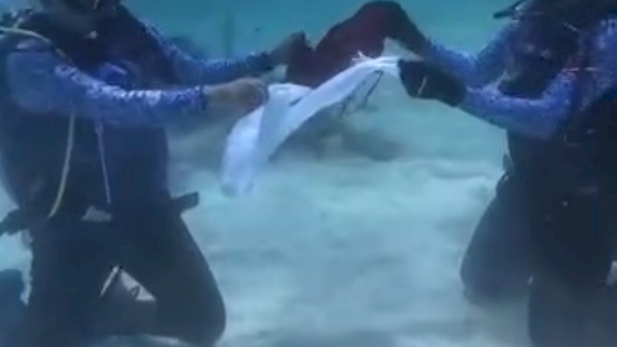VIDEO: Komunitas Dokter Mata Rayakan HUT RI ke-79 dengan Pengibaran Bendera di Bawah Laut Pulau Kapoposang