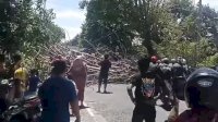 Pohon Tumbang di Jeneponto Tutup Badan Jalan, Warga Pakai Alat Seadanya
