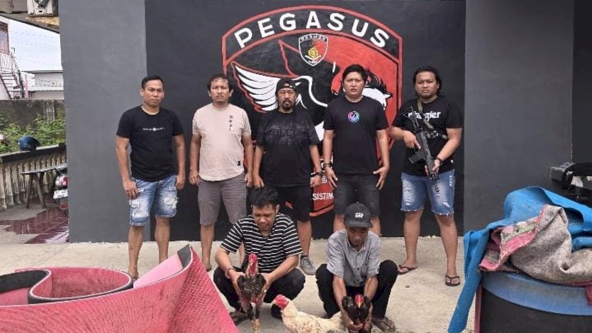Resmob Polres Jeneponto Gerebek Judi Sabung Ayam, Pelaku dan Barang Bukti Diamankan