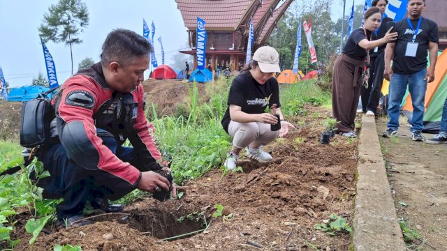 Penanaman pohon peserta Yamaha MAXI Day 2024 di Puncak Lolai Toraja. Foto: Istimewa.