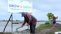 Berbagai Program BRI untuk Mendukung Net Zero Emission di 2050