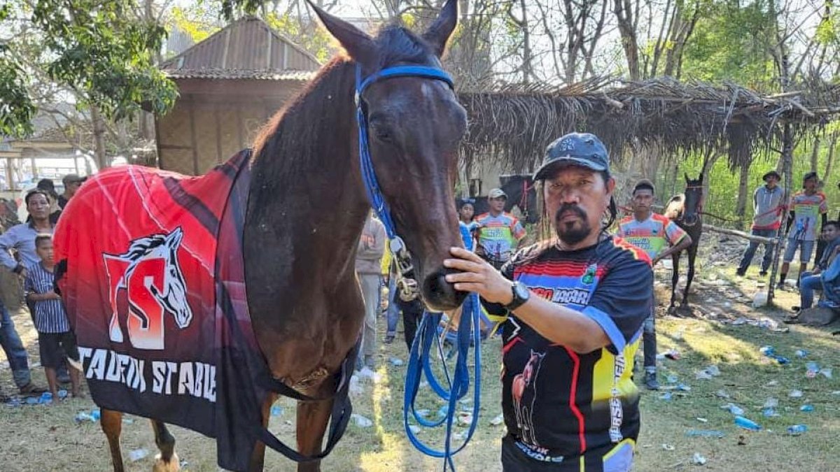 Kuda Milik Kanit Buser Polres Jeneponto Juara Umum di Kejuaraan Qalby Cup 1