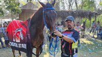 Kuda Milik Kanit Buser Polres Jeneponto Juara Umum di Kejuaraan Qalby Cup 1