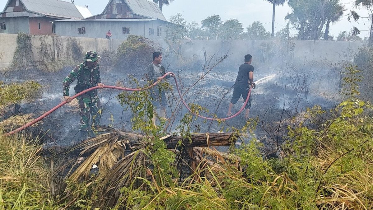 Aksi Sigap TNI di Jeneponto Bantu Petugas Damkar Padamkan Api Dilokasi Kebakaran Lahan