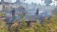 Aksi Sigap TNI di Jeneponto Bantu Petugas Damkar Padamkan Api Dilokasi Kebakaran Lahan