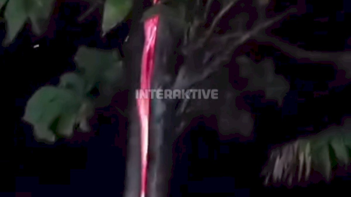 VIDEO: Fenomena Aneh, Pohon Jati di Kuningan Mengeluarkan Api Saat Hujan