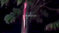 VIDEO: Fenomena Aneh, Pohon Jati di Kuningan Mengeluarkan Api Saat Hujan