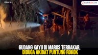 VIDEO: Gudang Kayu di Maros Terbakar, Diduga Akibat Puntung Rokok