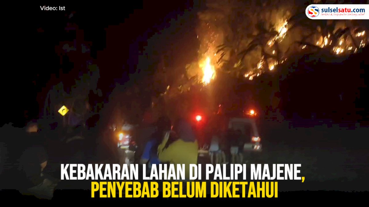 VIDEO: Kebakaran Lahan di Palipi Majene, Penyebab Belum Diketahui