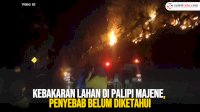 VIDEO: Kebakaran Lahan di Palipi Majene, Penyebab Belum Diketahui