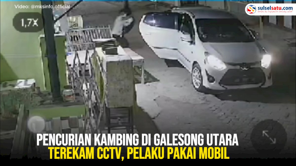 VIDEO: Pencurian Kambing di Galesong Utara Terekam CCTV, Pelaku Pakai Mobil