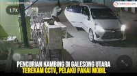 VIDEO: Pencurian Kambing di Galesong Utara Terekam CCTV, Pelaku Pakai Mobil