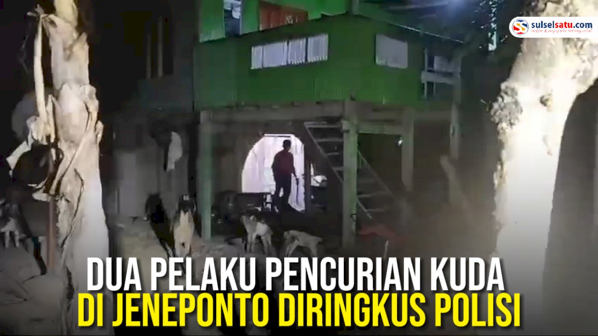 VIDEO: Dua Pelaku Pencurian Kuda di Jeneponto Berhasil Diringkus Polisi