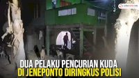 VIDEO: Dua Pelaku Pencurian Kuda di Jeneponto Berhasil Diringkus Polisi