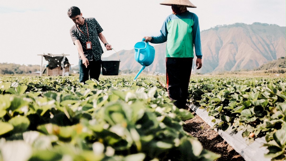 Dirut BRI Sunarso Ungkap Ketahanan Pangan jadi Kunci Agar Indonesia Keluar dari Middle Income Trap