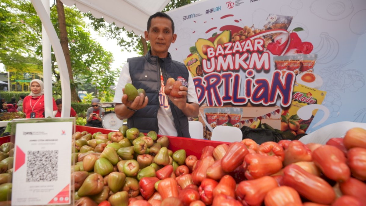 Kisah Pengusaha Jambu di Kudus, Sukses Kembangkan Usaha Berkat Pemberdayaan BRI
