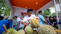 Kelompok Petani Durian di Pekalongan Makin Berkembang Berkat Pemberdayaan BRI