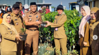 Penyaluran Bibit Tanaman Hias dan Buah untuk Lorong Wisata di Kecamatan Kepulauan Sangkarrang