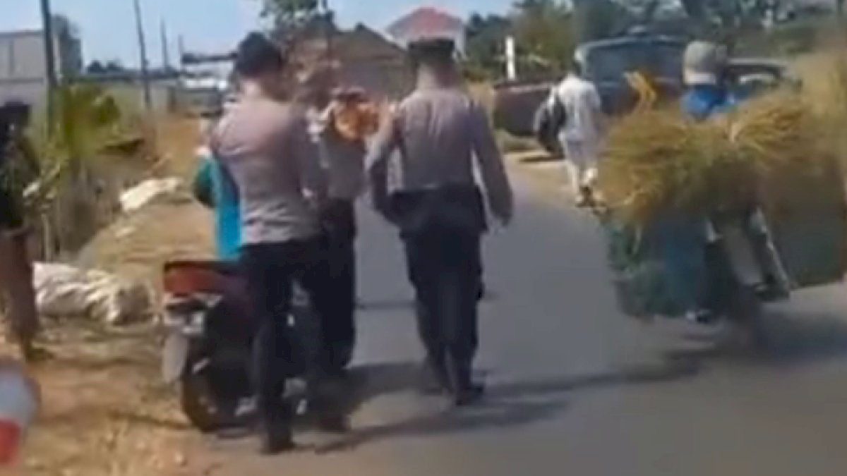 VIDEO:  Polisi di Yogyakarta Gelar Razia di Sawah, Tuai Kecaman Netizen