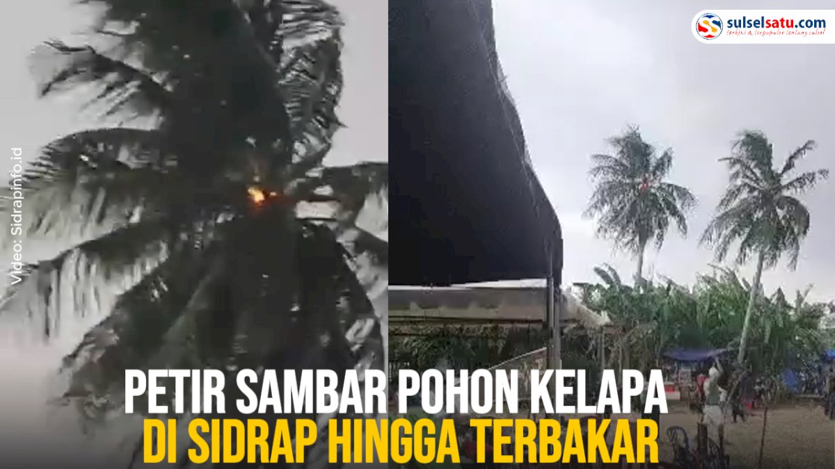 VIDEO: Petir Sambar Pohon Kelapa di Sidrap hingga Terbakar, 1 Orang Dikabarkan Meninggal